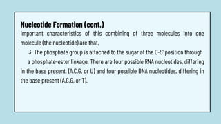 Important characteristics of this combining of three molecules into one
molecule (the nucleotide) are that,
3. The phosphate group is attached to the sugar at the C-5' position through
a phosphate-ester linkage. There are four possible RNA nucleotides, differing
in the base present, (A,C,G, or U) and four possible DNA nucleotides, differing in
the base present (A,C,G, or T).
Nucleotide Formation (cont.)
 