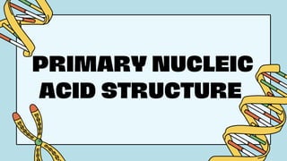 PRIMARY NUCLEIC
ACID STRUCTURE
 