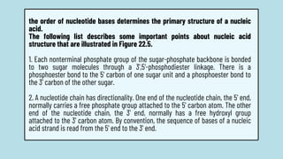the order of nucleotide bases determines the primary structure of a nucleic
acid.
The following list describes some important points about nucleic acid
structure that are illustrated in Figure 22.5.
1. Each nonterminal phosphate group of the sugar-phosphate backbone is bonded
to two sugar molecules through a 3',5'-phosphodiester linkage. There is a
phosphoester bond to the 5' carbon of one sugar unit and a phosphoester bond to
the 3' carbon of the other sugar.
2. A nucleotide chain has directionality. One end of the nucleotide chain, the 5' end,
normally carries a free phosphate group attached to the 5' carbon atom. The other
end of the nucleotide chain, the 3' end, normally has a free hydroxyl group
attached to the 3' carbon atom. By convention, the sequence of bases of a nucleic
acid strand is read from the 5' end to the 3' end.
 