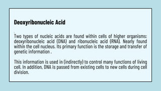 1.
Two types of nucleic acids are found within cells of higher organisms:
deoxyribonucleic acid (DNA) and ribonucleic acid (RNA). Nearly found
within the cell nucleus. Its primary function is the storage and transfer of
genetic information .
This information is used in (indirectly) to control many functions of living
cell. In addition, DNA is passed from existing cells to new cells during cell
division.
Deoxyribonucleic Acid
 