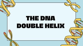 THE DNA
DOUBLE HELIX
 