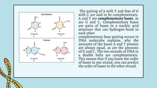 The pairing of A with T and that of G
with C are said to be complementary.
A and T are complementary bases, as
are G and C. Complementary bases
are pairs of bases in a nucleic acid
structure that can hydrogen-bond to
each other
complementary base pairing occurs in
DNA molecules explains, why the
amounts of the bases A and T present
are always equal, as are the amounts
of G and C. The two strands of DNA in
a double helix are complementary.
This means that if you know the order
of bases in one strand, you can predict
the order of bases in the other strand.
 