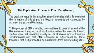The Replication Process in Finer Detail (cont.)
1.
The breaks or gaps in this daughter strand are called nicks. To complete
the formation of this strand, the Okazaki fragments are connected by
action of the enzyme DNA ligase.
2. The process of DNA unwinding does not have to begin at an end of the
DNA molecule. It may occur at any location within the molecule. Indeed,
studies show that unwinding usually occurs at several interior locations
simultaneously and that DNA replication is bidirectional for these
locations; that is, it proceeds in both directions from the unwinding sites.
 
