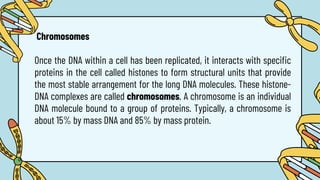 Chromosomes
Once the DNA within a cell has been replicated, it interacts with specific
proteins in the cell called histones to form structural units that provide
the most stable arrangement for the long DNA molecules. These histone-
DNA complexes are called chromosomes. A chromosome is an individual
DNA molecule bound to a group of proteins. Typically, a chromosome is
about 15% by mass DNA and 85% by mass protein.
 