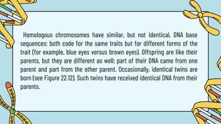 Homologous chromosomes have similar, but not identical, DNA base
sequences; both code for the same traits but for different forms of the
trait (for example, blue eyes versus brown eyes). Offspring are like their
parents, but they are different as well; part of their DNA came from one
parent and part from the other parent. Occasionally, identical twins are
born (see Figure 22.12). Such twins have received identical DNA from their
parents.
 