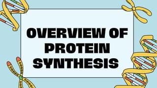 OVERVIEW OF
PROTEIN
SYNTHESIS
t
 