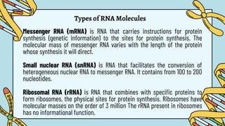 Types of RNA Molecules
Messenger RNA (mRNA) is RNA that carries instructions for protein
synthesis (genetic information) to the sites for protein synthesis. The
molecular mass of messenger RNA varies with the length of the protein
whose synthesis it will direct.
Small nuclear RNA (snRNA) is RNA that facilitates the conversion of
heterogeneous nuclear RNA to messenger RNA. It contains from 100 to 200
nucleotides.
Ribosomal RNA (rRNA) is RNA that combines with specific proteins to
form ribosomes, the physical sites for protein synthesis. Ribosomes have
molecular masses on the order of 3 million The rRNA present in ribosomes
has no informational function.
 