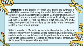 Transcription is the process by which DNA directs the synthesis of
hnRNA/RNA molecules that carry the coded information needed for
protein synthesis. Messenger RNA production via transcription is actually
a "two-step" process in which an hnRNA molecule is initially produced
and then is "edited" to yield the desired mRNA molecule. The mRNA
molecule so produced then functions as the carrier of the information
needed to direct protein synthesis
Within a strand of a DNA molecule are instructions for the synthesis of
numerous hnRNA/mRNA molecules. During transcription, a DNA molecule
unwinds, under enzyme influence, at the particular location where the
appropriate base sequence is found for the hnRNA/mRNA of concern, and
the "exposed" base sequence is transcribed.
 