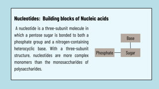 A nucleotide is a three-subunit molecule in
which a pentose sugar is bonded to both a
phosphate group and a nitrogen-containing
heterocyclic base. With a three-subunit
structure, nucleotides are more complex
monomers than the monosaccharides of
polysaccharides.
Phosphate
Nucleotides: Building blocks of Nucleic acids
Sugar
Base
 