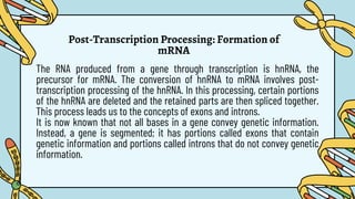 Post-Transcription Processing: Formation of
mRNA
The RNA produced from a gene through transcription is hnRNA, the
precursor for mRNA. The conversion of hnRNA to mRNA involves post-
transcription processing of the hnRNA. In this processing, certain portions
of the hnRNA are deleted and the retained parts are then spliced together.
This process leads us to the concepts of exons and introns.
It is now known that not all bases in a gene convey genetic information.
Instead, a gene is segmented; it has portions called exons that contain
genetic information and portions called introns that do not convey genetic
information.
 