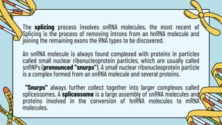 The splicing process involves snRNA molecules, the most recent of
Splicing is the process of removing introns from an hnRNA molecule and
joining the remaining exons the RNA types to be discovered.
An snRNA molecule is always found complexed with proteins in particles
called small nuclear ribonucleoprotein particles, which are usually called
snRNPs (pronounced "snurps"). A small nuclear ribonucleoprotein particle
is a complex formed from an snRNA molecule and several proteins.
"Snurps" always further collect together into larger complexes called
spliceosomes. A spliceosome is a large assembly of snRNA molecules and
proteins involved in the conversion of hnRNA molecules to mRNA
molecules.
 