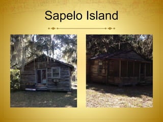 Sapelo Island
 