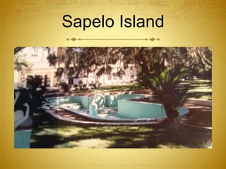 Sapelo Island
 