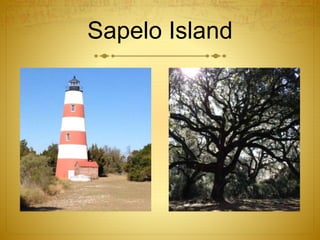 Sapelo Island
 