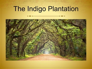 The Indigo Plantation
 