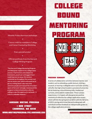 Mentoring Program Flyer
