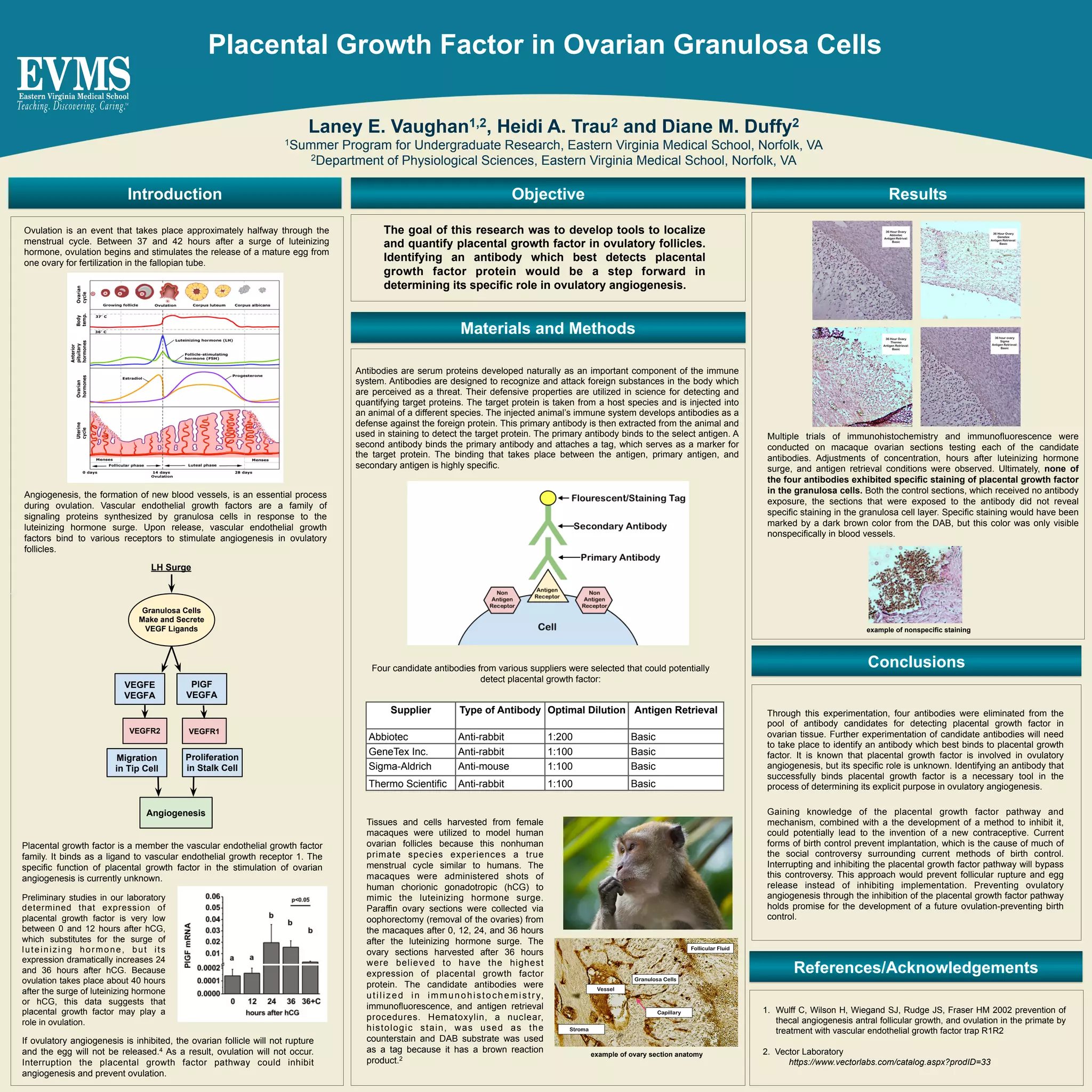 LaneyVaughanPosterPresentation PDF