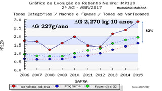 ∆G 227g/ano
Fonte: ANCP 2017
∆G 2,270 kg 10 anos
82%
HABILIDADE MATERNA
 