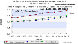 ∆G 0,13 cm/ano
Fonte: ANCP 2017
∆G 1,35 cm 10 anos
130%
Perímetro Escrotal ao ano
 