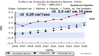 ∆G 0,25 cm²/ano
Fonte: ANCP 2017
∆G 2,5 cm² em 10 anos
153%
Rendimento Frigorífico
 