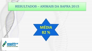 RESULTADOS – ANIMAIS DA SAFRA 2015
MÉDIA
82 %
 