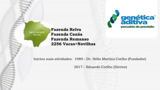 Iniciou suas atividades: 1980 – Dr. Hélio Martins Coelho (Fundador)
2017 – Eduardo Coelho (Diretor)
Fazenda Relva
Fazenda Canãa
Fazenda Remanso
2256 Vacas+Novilhas
 