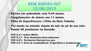 REM ESPIÃO 007
13/08/2015
• Foi usado na estação depois de sair do pé da sua mãe.
• Entrou em puberdade com 9,44 meses.
• Congelamento de sêmen aos 11 meses.
• Filho de SuperPrecoce ( Filha do Rem Vokolo).
TOP 0,1% índice MGTe.
TOP 0,1% Peso desmame,Peso sobreano.
TOP 0,5% Perímetro Escrotal ao ano.
TOP 0,5 % Área de Lombo(Rend. Frigorífico) e Acabamento.
• Possui 50 prenhezes na fazenda.
 
