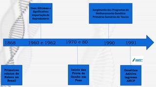 Primeiros
relatos do
Nelore no
Brasil
1868 1960 e 1962
Duas últimas e
Significativas
importaçãode
Reprodutores
Início das
Prova de
Ganho em
Peso
1970 e 80 1990
Surgimento dos Programasde
Melhoramento Genético
PrimeirosSumáriosde Touros
Genética
Aditiva
ingressa
ANCP
1991
 