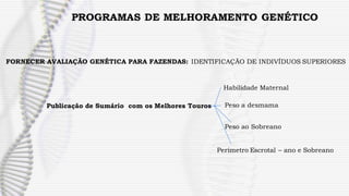 PROGRAMAS DE MELHORAMENTO GENÉTICO
FORNECER AVALIAÇÃO GENÉTICA PARA FAZENDAS: IDENTIFICAÇÃO DE INDIVÍDUOS SUPERIORES
Publicação de Sumário com os Melhores Touros
Habilidade Maternal
Peso a desmama
Peso ao Sobreano
Perímetro Escrotal – ano e Sobreano
 