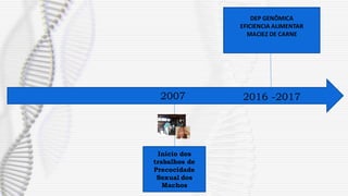 Início dos
trabalhos de
Precocidade
Sexual dos
Machos
2007 2016 -2017
DEP GENÔMICA
EFICIENCIA ALIMENTAR
MACIEZ DE CARNE
 
