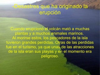 -Desastres que ha originado la
             erupción

   Cuando erupcionó el volcán mató a muchas
      plantas y a muchos animales marinos.
    Al morirse estos, los pescadores de la isla
tuvieron grandes perdidas. Otras de las perdidas
fue en el turismo, ya que unas de las atracciones
  de la isla eran sus playas y en el momento era
                     peligroso.
 