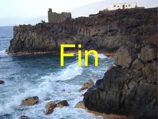 Fin
 