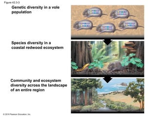 © 2014 Pearson Education, Inc.
Figure 43.3-3
Species diversity in a
coastal redwood ecosystem
Genetic diversity in a vole
population
Community and ecosystem
diversity across the landscape
of an entire region
 