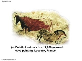 © 2014 Pearson Education, Inc.
Figure 43.31a
(a) Detail of animals in a 17,000-year-old
cave painting, Lascaux, France
 
