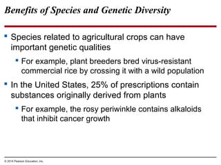 © 2014 Pearson Education, Inc.
Benefits of Species and Genetic Diversity
 Species related to agricultural crops can have
important genetic qualities
 For example, plant breeders bred virus-resistant
commercial rice by crossing it with a wild population
 In the United States, 25% of prescriptions contain
substances originally derived from plants
 For example, the rosy periwinkle contains alkaloids
that inhibit cancer growth
 