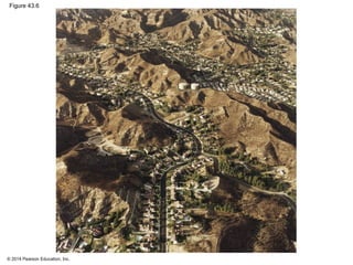 © 2014 Pearson Education, Inc.
Figure 43.6
 