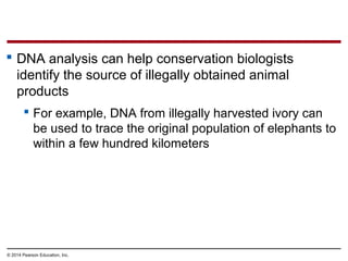 © 2014 Pearson Education, Inc.
 DNA analysis can help conservation biologists
identify the source of illegally obtained animal
products
 For example, DNA from illegally harvested ivory can
be used to trace the original population of elephants to
within a few hundred kilometers
 