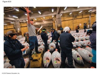 © 2014 Pearson Education, Inc.
Figure 43.9
 