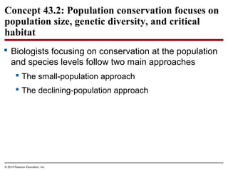 © 2014 Pearson Education, Inc.
Concept 43.2: Population conservation focuses on
population size, genetic diversity, and critical
habitat
 Biologists focusing on conservation at the population
and species levels follow two main approaches
 The small-population approach
 The declining-population approach
 