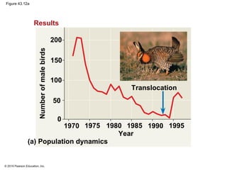 © 2014 Pearson Education, Inc.
Figure 43.12a
Results
200
150
100
50
0
1970 1975 1980 1985 1990 1995
Translocation
Year
(a) Population dynamics
Numberofmalebirds
 