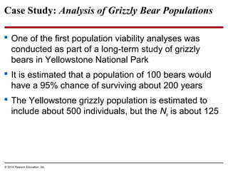 © 2014 Pearson Education, Inc.
Case Study: Analysis of Grizzly Bear Populations
 One of the first population viability analyses was
conducted as part of a long-term study of grizzly
bears in Yellowstone National Park
 It is estimated that a population of 100 bears would
have a 95% chance of surviving about 200 years
 The Yellowstone grizzly population is estimated to
include about 500 individuals, but the Ne is about 125
 