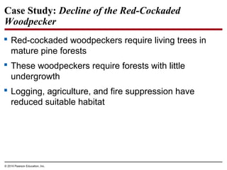 © 2014 Pearson Education, Inc.
Case Study: Decline of the Red-Cockaded
Woodpecker
 Red-cockaded woodpeckers require living trees in
mature pine forests
 These woodpeckers require forests with little
undergrowth
 Logging, agriculture, and fire suppression have
reduced suitable habitat
 