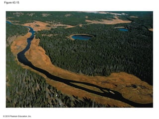 © 2014 Pearson Education, Inc.
Figure 43.15
 