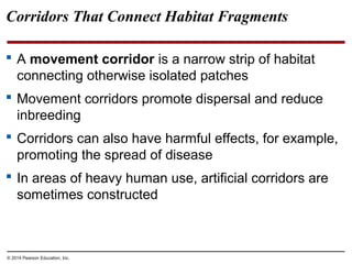 © 2014 Pearson Education, Inc.
Corridors That Connect Habitat Fragments
 A movement corridor is a narrow strip of habitat
connecting otherwise isolated patches
 Movement corridors promote dispersal and reduce
inbreeding
 Corridors can also have harmful effects, for example,
promoting the spread of disease
 In areas of heavy human use, artificial corridors are
sometimes constructed
 