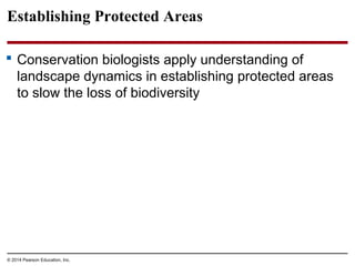 © 2014 Pearson Education, Inc.
Establishing Protected Areas
 Conservation biologists apply understanding of
landscape dynamics in establishing protected areas
to slow the loss of biodiversity
 