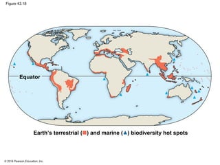 © 2014 Pearson Education, Inc.
Figure 43.18
Equator
Earth’s terrestrial ( ) and marine ( ) biodiversity hot spots
 