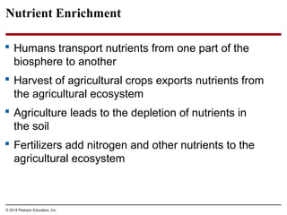 © 2014 Pearson Education, Inc.
Nutrient Enrichment
 Humans transport nutrients from one part of the
biosphere to another
 Harvest of agricultural crops exports nutrients from
the agricultural ecosystem
 Agriculture leads to the depletion of nutrients in
the soil
 Fertilizers add nitrogen and other nutrients to the
agricultural ecosystem
 