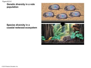 © 2014 Pearson Education, Inc.
Figure 43.3-2
Species diversity in a
coastal redwood ecosystem
Genetic diversity in a vole
population
 