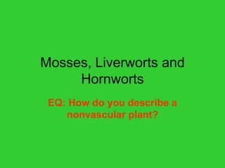 Mosses, Liverworts and
Hornworts
EQ: How do you describe a
nonvascular plant?
 