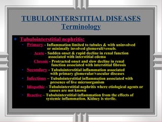 TUBULOINTERSTITIAL DISEASES Terminology ,[object Object],[object Object],[object Object],[object Object],[object Object],[object Object],[object Object],[object Object]